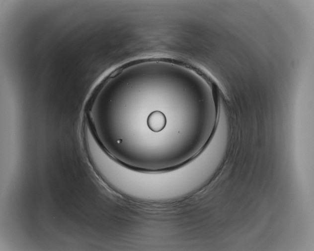 X0000115291460200911090942