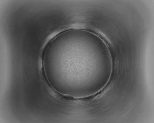 X0000115291461200911090942