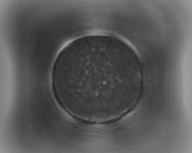 X0000115291463200911090942