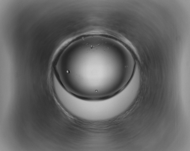 X0000115291464200911090942