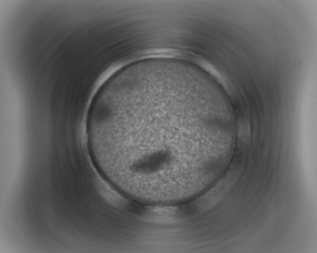X0000115291466200911090942