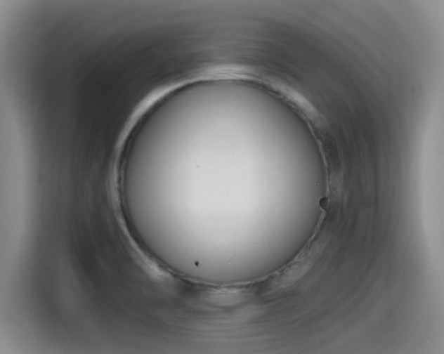 X0000115291470200911090942