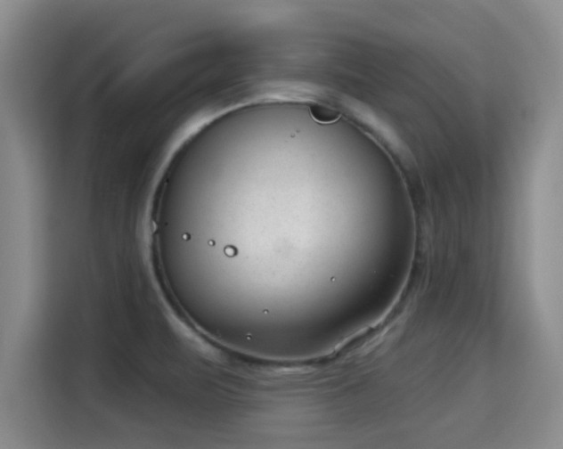X0000115291471200911090942