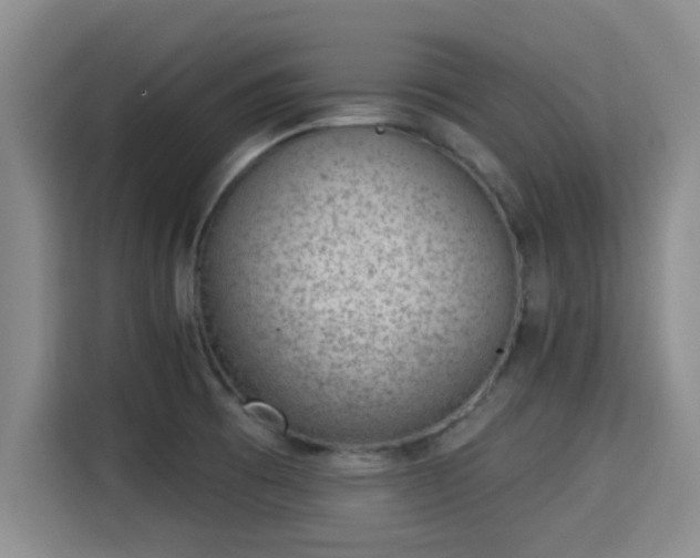 X0000115291473200911090942