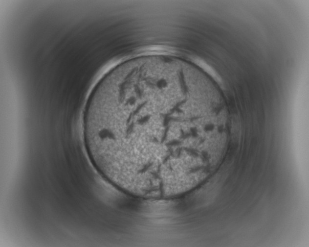 X0000115291474200911090942