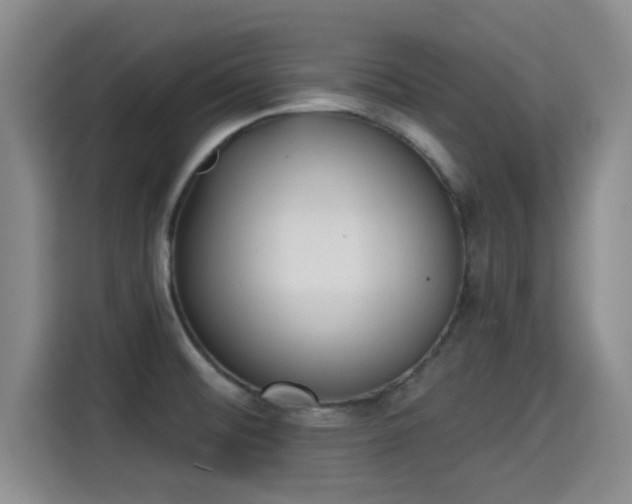 X0000115291476200911090942