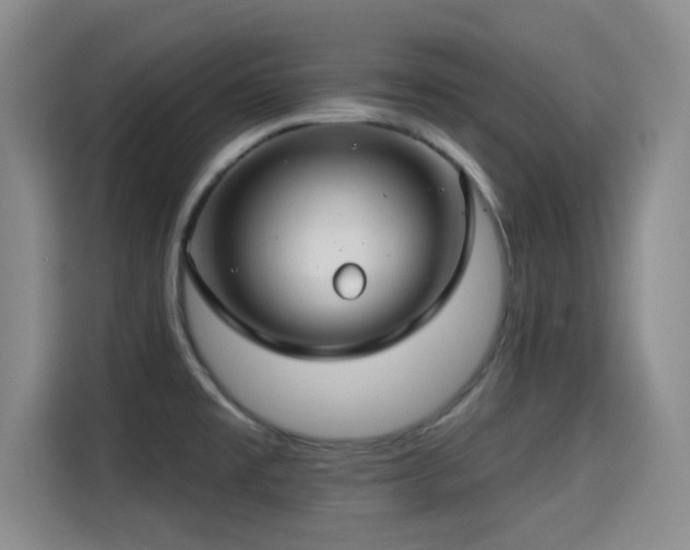 X0000115291477200911090942
