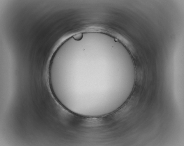 X0000115291478200911090942