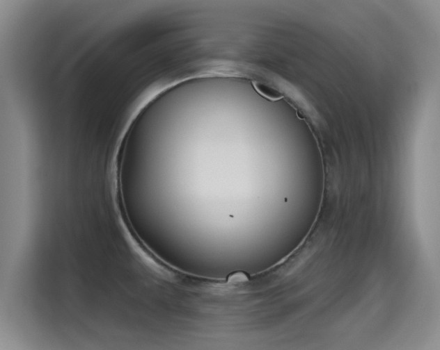 X0000115291479200911090942