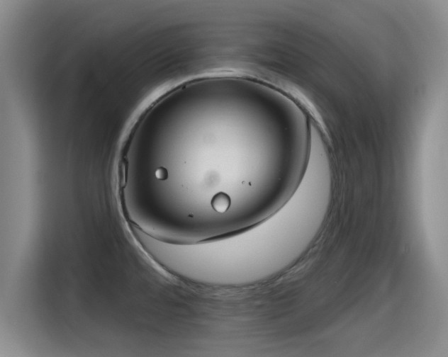 X0000115291480200911090942
