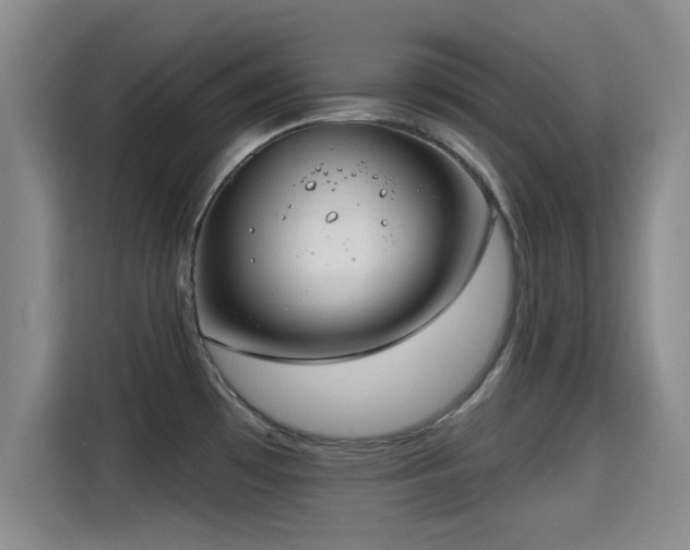 X0000115291481200911090942