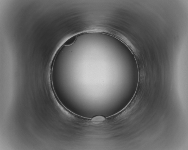 X0000115291484200911090942