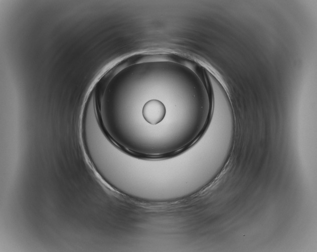 X0000115291485200911090942