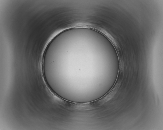 X0000115291486200911090942