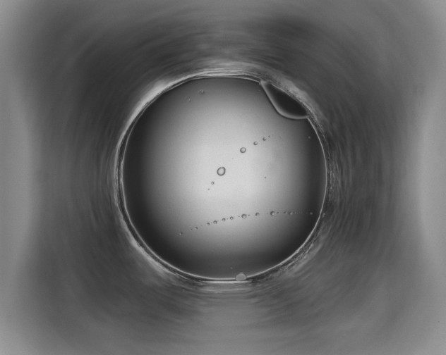 X0000115291487200911090942