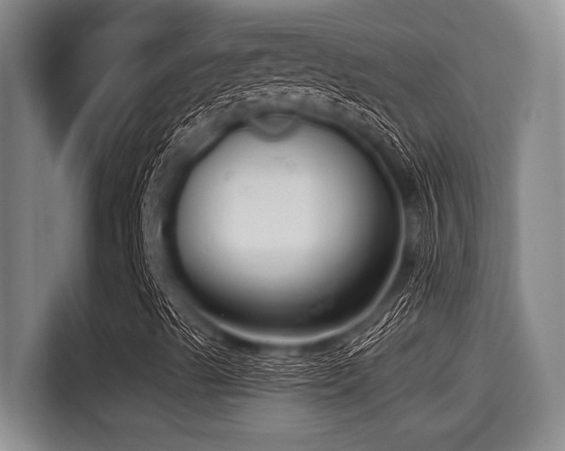 X0000115291489200911090941