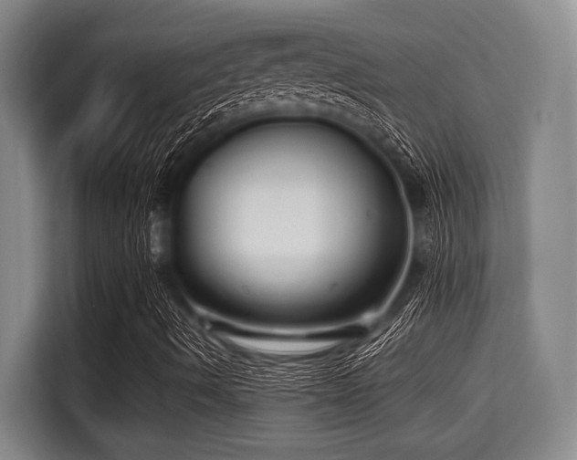 X0000115291490200911090941