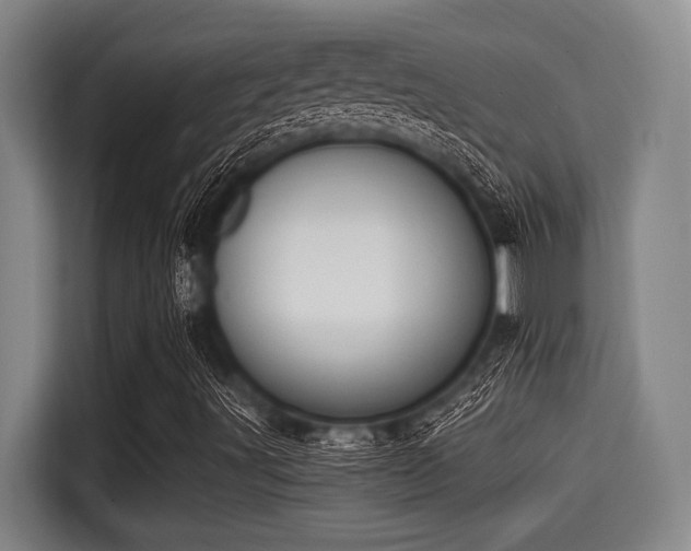 X0000115291491200911090941