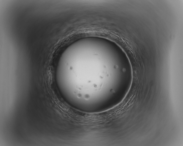 X0000115291493200911090941