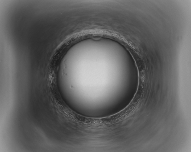 X0000115291495200911090941