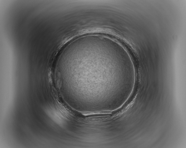 X0000115291497200911090941