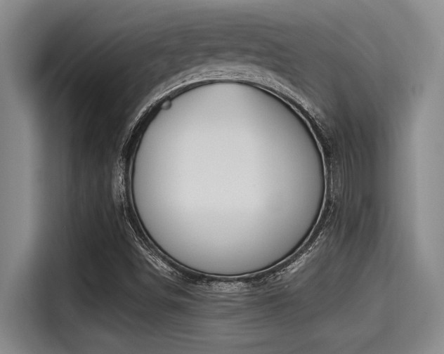 X0000115291498200911090941