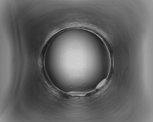 X0000115291501200911090941