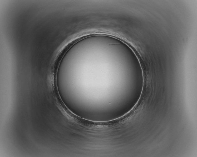 X0000115291503200911090941
