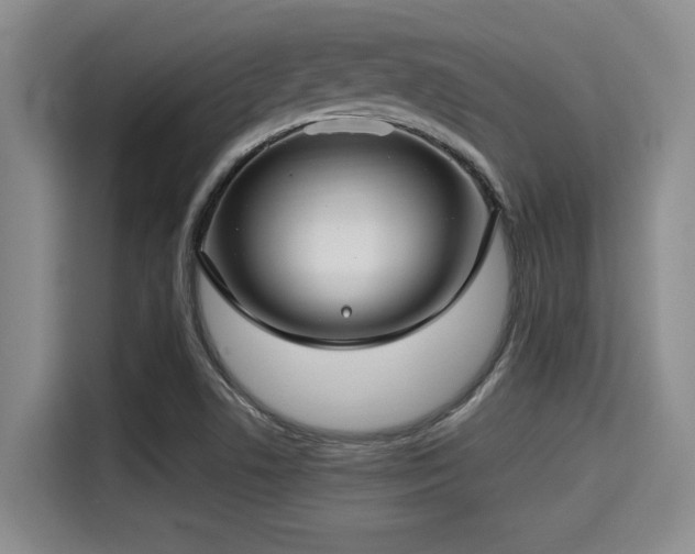 X0000115291506200911090941