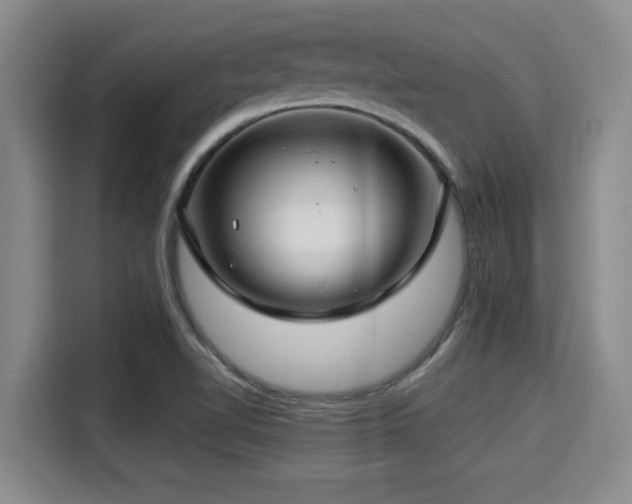 X0000115291510200911090941