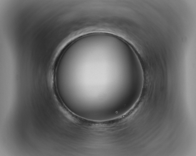X0000115291511200911090941