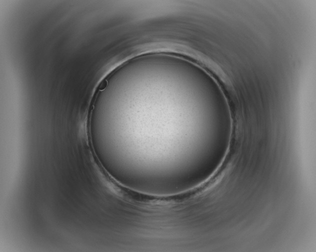X0000115291513200911090941