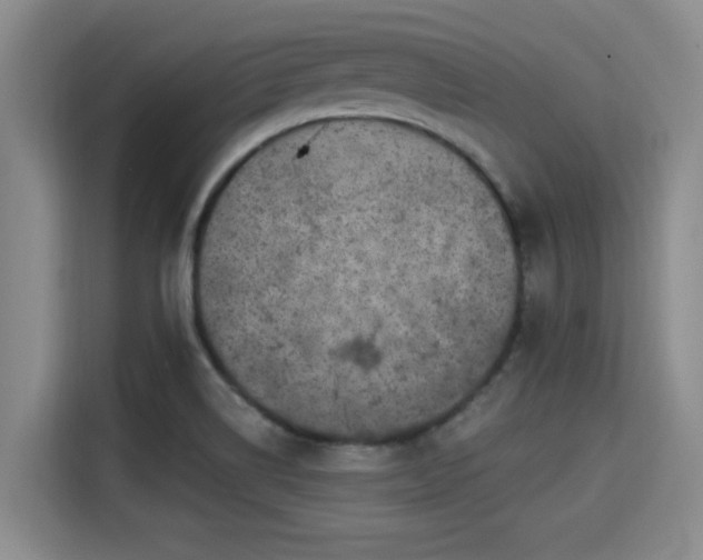 X0000115291514200911090941