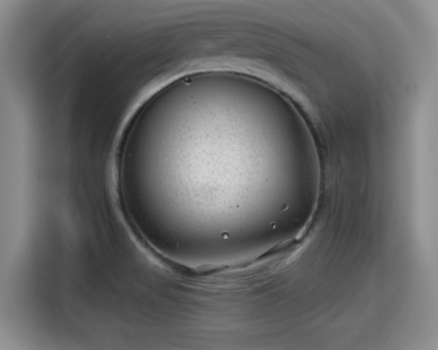 X0000115291517200911090941