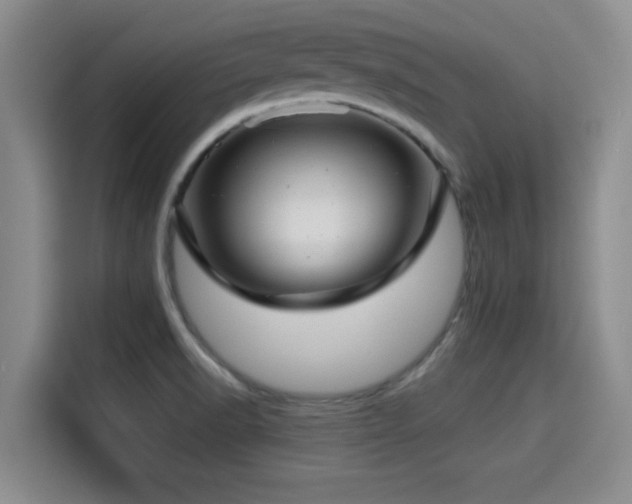 X0000115291518200911090941