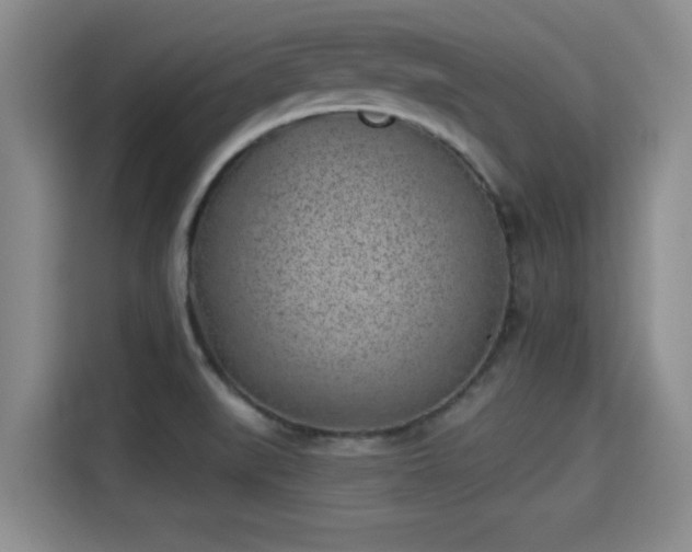 X0000115291519200911090941