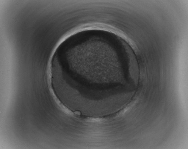 X0000115291522200911090942