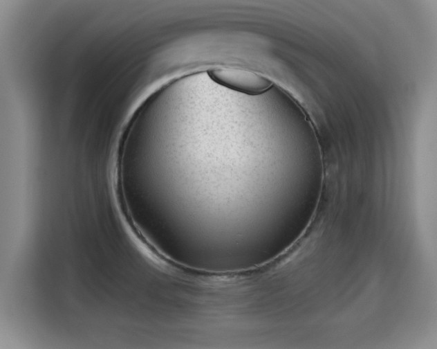 X0000115291523200911090942
