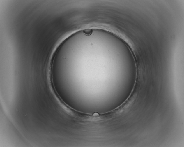 X0000115291525200911090942
