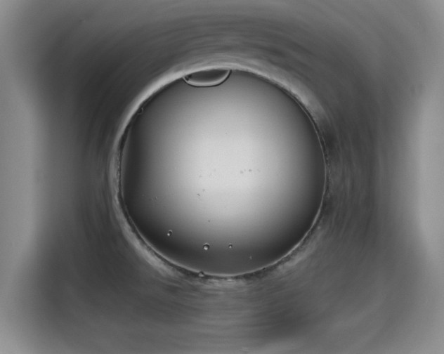 X0000115291526200911090942