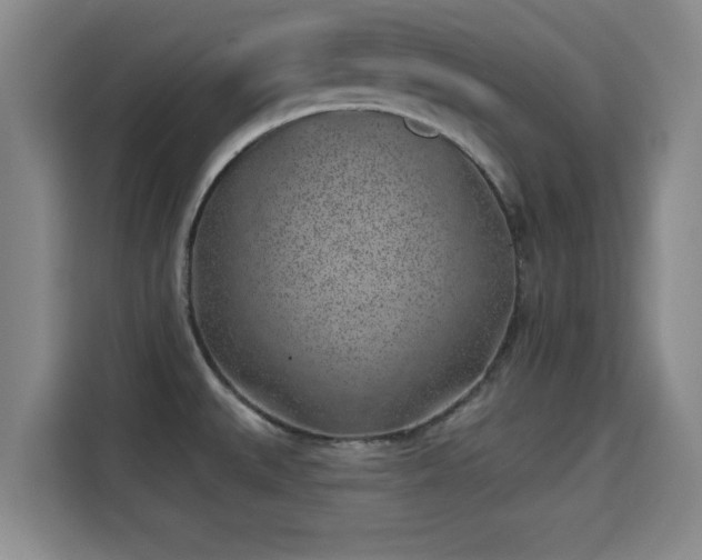 X0000115291527200911090942