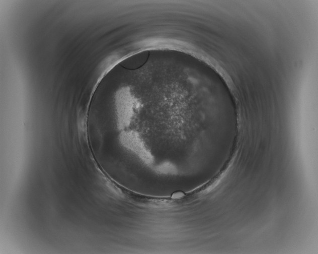 X0000115291529200911090942
