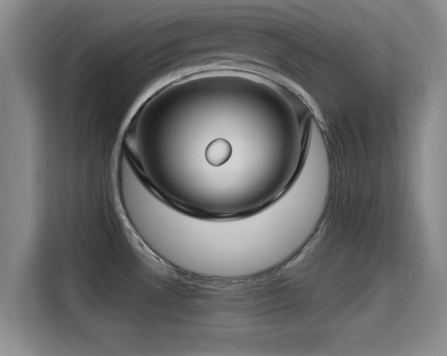 X0000115291530200911090942