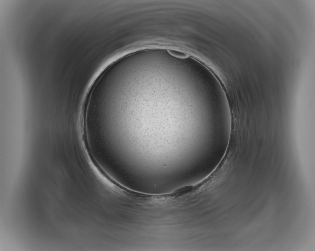 X0000115291531200911090942