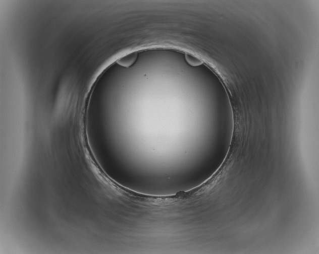 X0000115291534200911090942