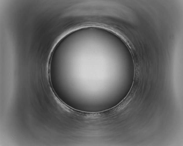 X0000115291535200911090942