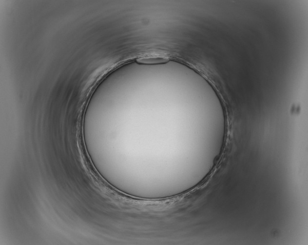 X0000115290001200911161645