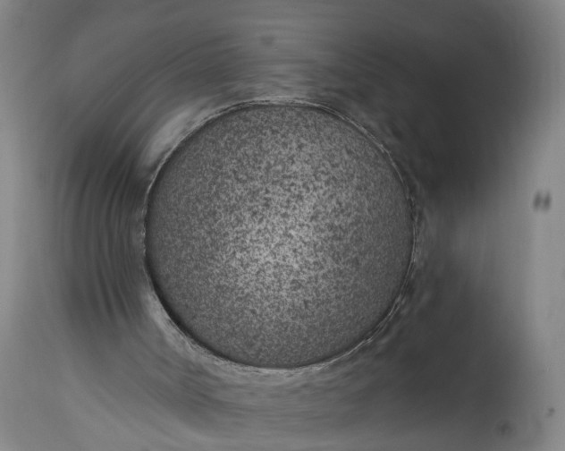 X0000115290002200911161645