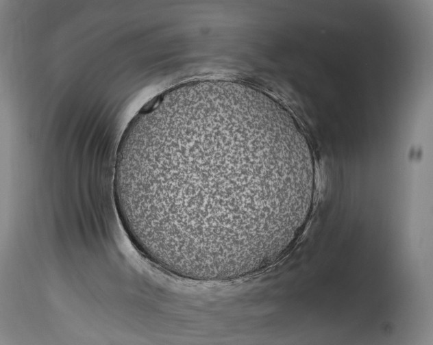 X0000115290003200911161645
