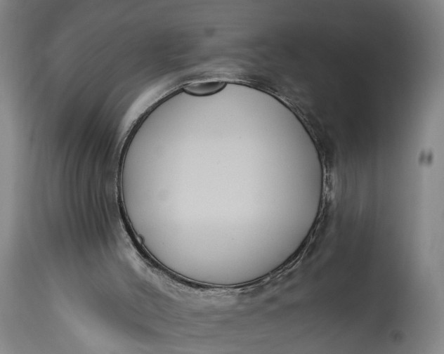 X0000115290004200911161645